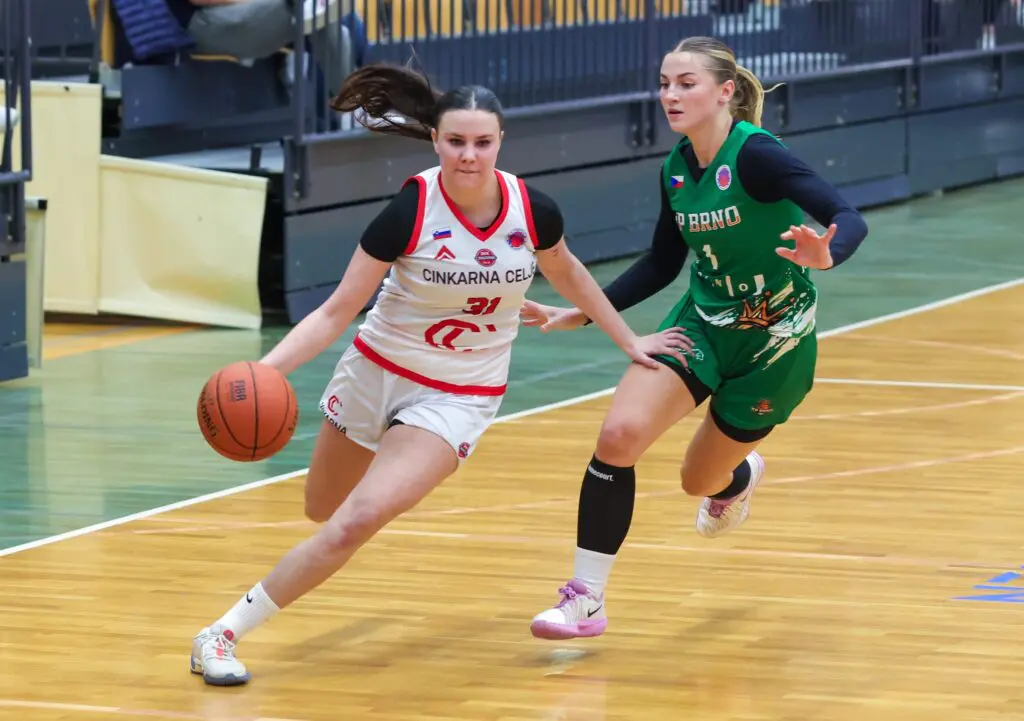 Utrinek s tekme Cinkarna Celje – KP Brno.