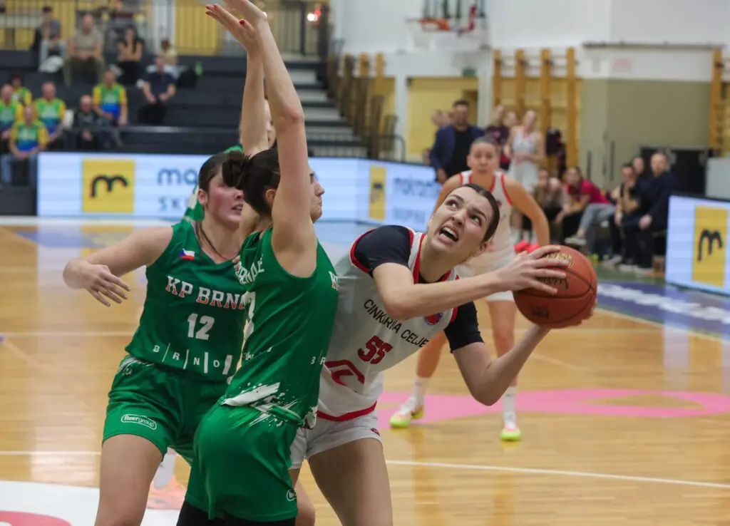 Utrinek s tekme Cinkarna Celje – KP Brno.