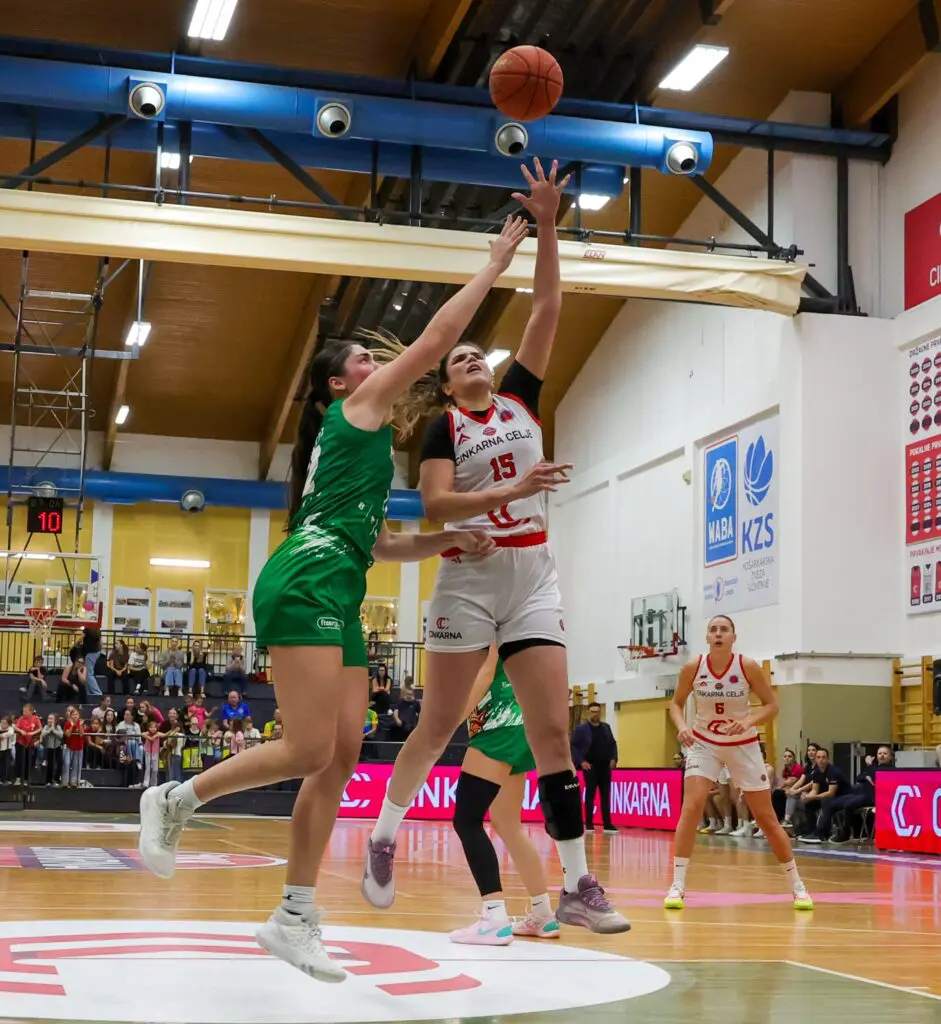 Utrinek s tekme Cinkarna Celje – KP Brno.