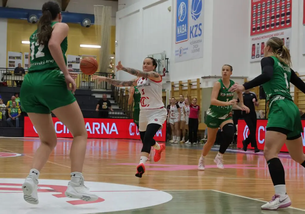Utrinek s tekme Cinkarna Celje – KP Brno.