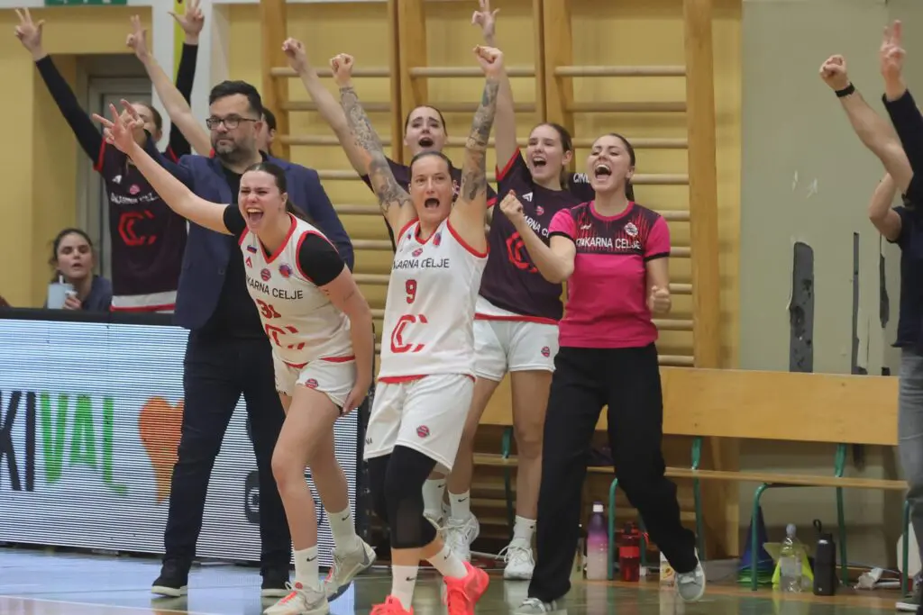 Utrinek s tekme Cinkarna Celje – KP Brno.