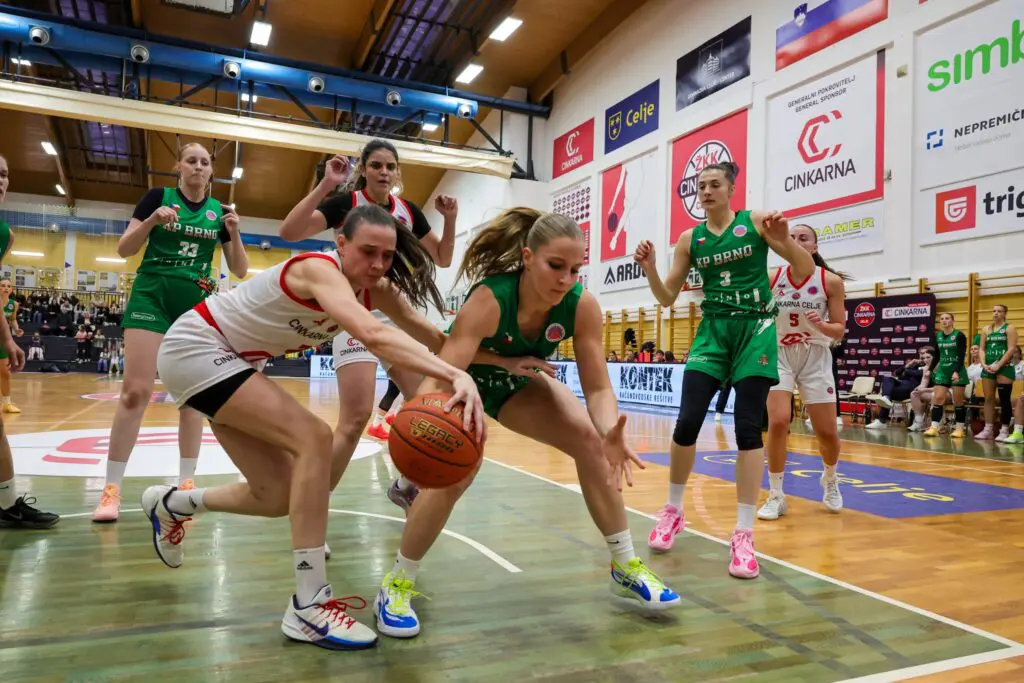 Utrinek s tekme Cinkarna Celje – KP Brno.