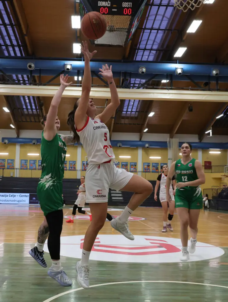 Utrinek s tekme Cinkarna Celje – KP Brno.