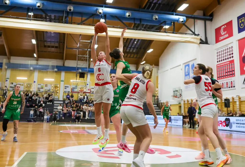 Utrinek s tekme Cinkarna Celje – KP Brno.